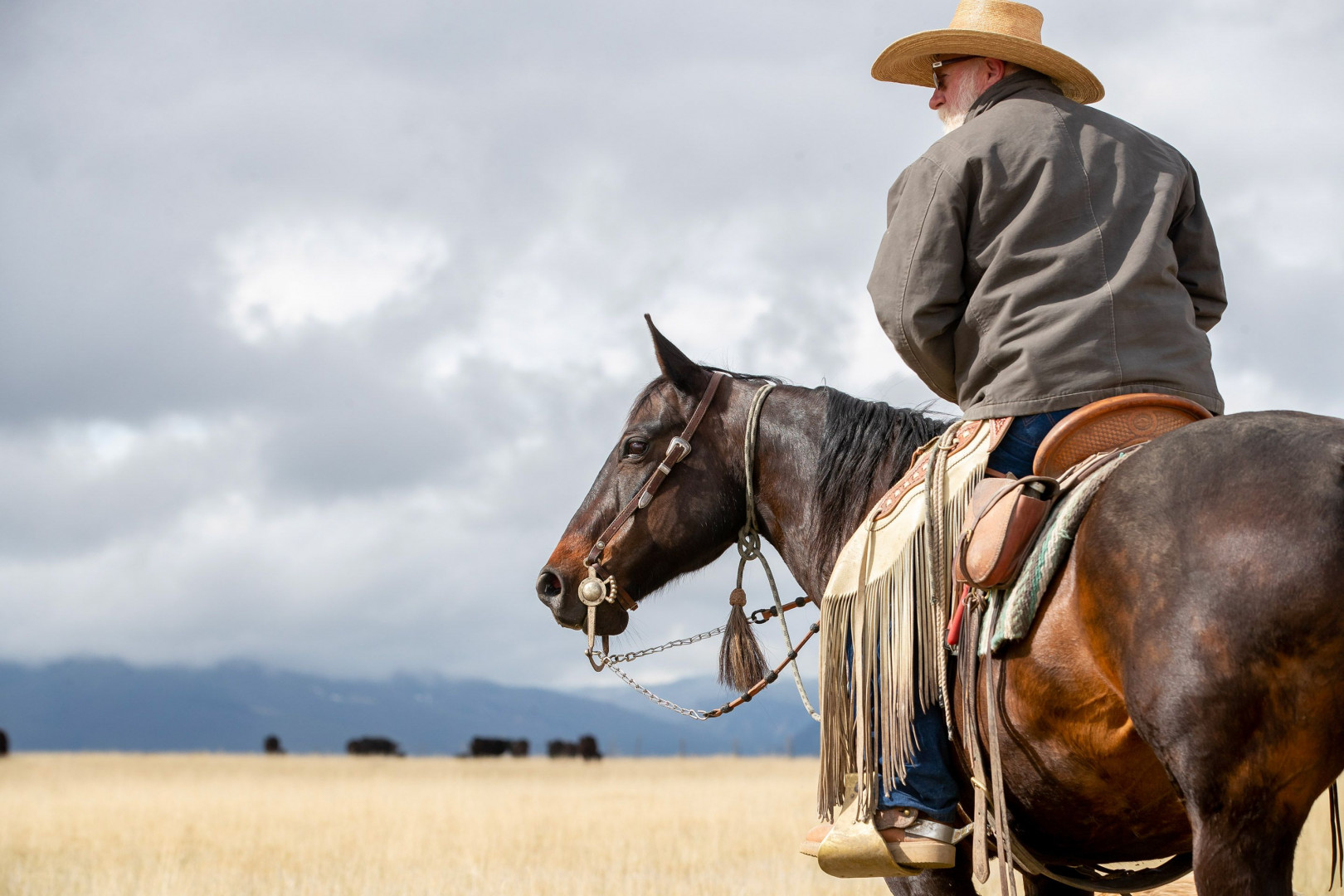 Montana Cowboys