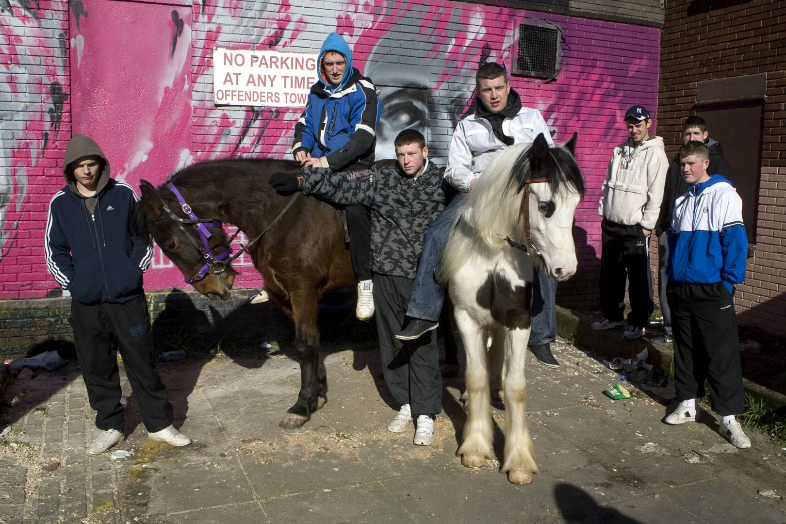 Irish Gypsies and their horses, photographs by James Horan | Equestrio ...